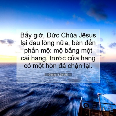 Picture 07 - Giăng 11:38 VIE - Bấy giờ, Đức Chúa Jêsus lại đau lòng - Bible Verse Picture