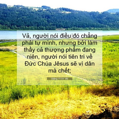 Picture 07 - Giăng 11:51 VIE - Vả, người nói điều đó chẳng phải - Bible Verse Picture