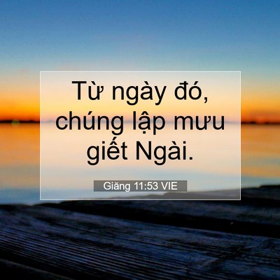 Picture 07 - Giăng 11:53 VIE - Từ ngày đó, chúng lập mưu giết - Bible Verse Picture