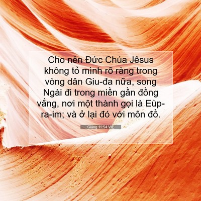 Picture 07 - Giăng 11:54 VIE - Cho nên Đức Chúa Jêsus không tỏ mình - Bible Verse Picture