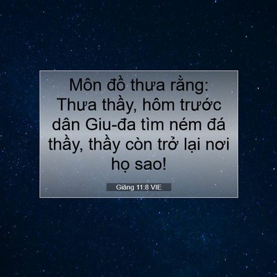 Picture 07 - Giăng 11:8 VIE - Môn đồ thưa rằng: Thưa thầy, hôm - Bible Verse Picture