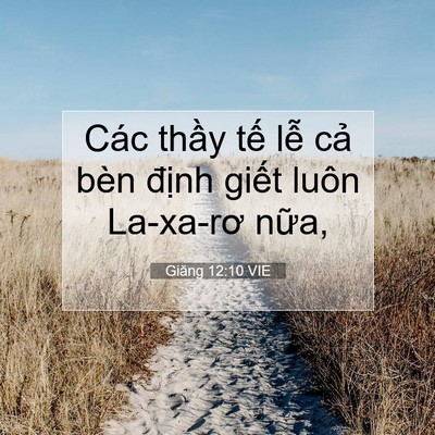 Picture 07 - Giăng 12:10 VIE - Các thầy tế lễ cả bèn định giết - Bible Verse Picture