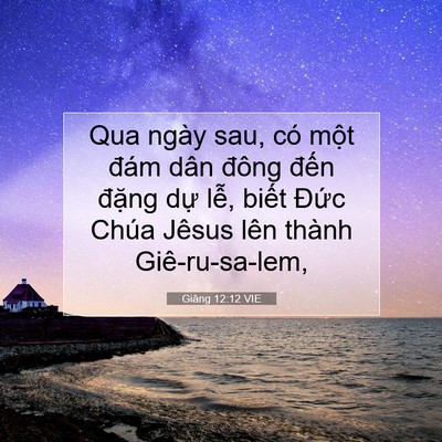 Picture 07 - Giăng 12:12 VIE - Qua ngày sau, có một đám dân đông đến - Bible Verse Picture