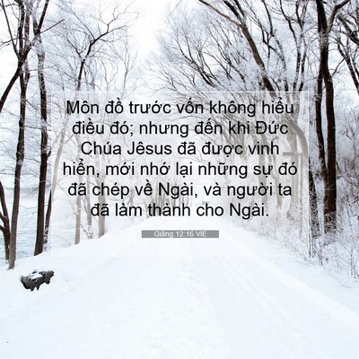 Picture 07 - Giăng 12:16 VIE - Môn đồ trước vốn không hiểu điều - Bible Verse Picture