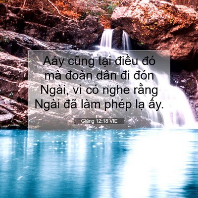 Picture 07 - Giăng 12:18 VIE - Aáy cũng tại điều đó mà đoàn dân đi - Bible Verse Picture