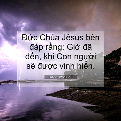 Picture 07 - Giăng 12:23 VIE - Đức Chúa Jêsus bèn đáp rằng: Giờ đã - Bible Verse Picture