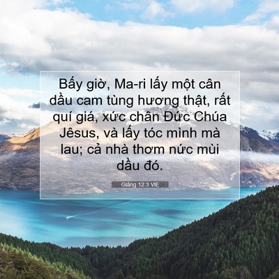 Picture 07 - Giăng 12:3 VIE - Bấy giờ, Ma-ri lấy một cân dầu cam - Bible Verse Picture