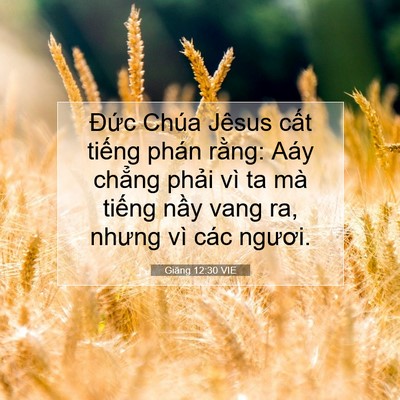 Picture 07 - Giăng 12:30 VIE - Đức Chúa Jêsus cất tiếng phán rằng: - Bible Verse Picture