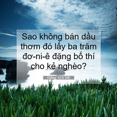 Picture 07 - Giăng 12:5 VIE - Sao không bán dầu thơm đó lấy ba trăm - Bible Verse Picture