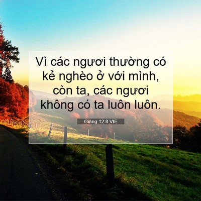 Picture 07 - Giăng 12:8 VIE - Vì các ngươi thường có kẻ nghèo ở - Bible Verse Picture