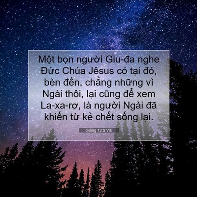 Picture 07 - Giăng 12:9 VIE - Một bọn người Giu-đa nghe Đức Chúa - Bible Verse Picture