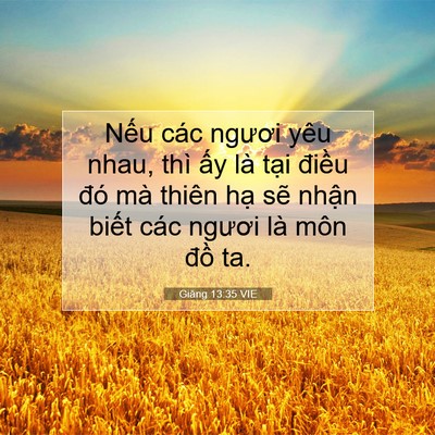 Picture 07 - Giăng 13:35 VIE - Nếu các ngươi yêu nhau, thì ấy là tại - Bible Verse Picture