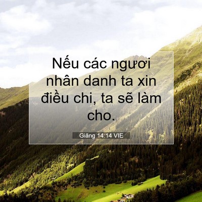 Picture 07 - Giăng 14:14 VIE - Nếu các ngươi nhân danh ta xin điều chi, - Bible Verse Picture