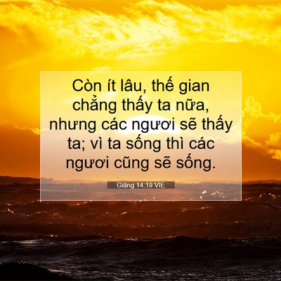 Picture 07 - Giăng 14:19 VIE - Còn ít lâu, thế gian chẳng thấy ta - Bible Verse Picture