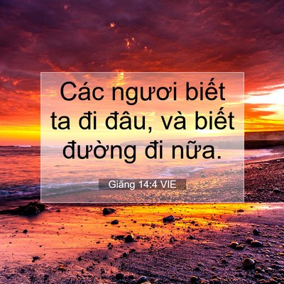 Picture 07 - Giăng 14:4 VIE - Các ngươi biết ta đi đâu, và biết - Bible Verse Picture
