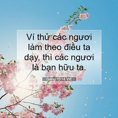 Picture 07 - Giăng 15:14 VIE - Ví thử các ngươi làm theo điều ta - Bible Verse Picture
