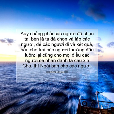 Picture 07 - Giăng 15:16 VIE - Aáy chẳng phải các ngươi đã chọn ta, - Bible Verse Picture