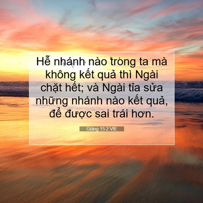 Picture 07 - Giăng 15:2 VIE - Hễ nhánh nào trong ta mà không kết quả - Bible Verse Picture