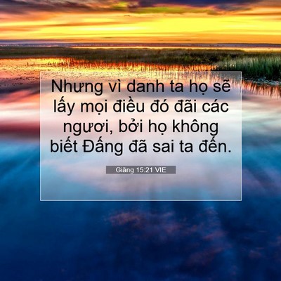 Picture 07 - Giăng 15:21 VIE - Nhưng vì danh ta họ sẽ lấy mọi điều - Bible Verse Picture