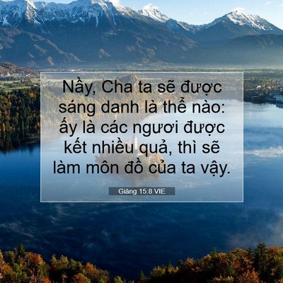 Picture 07 - Giăng 15:8 VIE - Nầy, Cha ta sẽ được sáng danh là thể - Bible Verse Picture