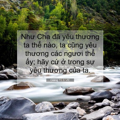 Picture 07 - Giăng 15:9 VIE - Như Cha đã yêu thương ta thể nào, ta - Bible Verse Picture