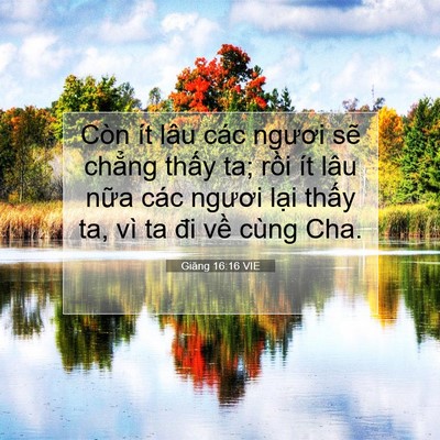 Picture 07 - Giăng 16:16 VIE - Còn ít lâu các ngươi sẽ chẳng thấy - Bible Verse Picture