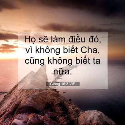 Picture 07 - Giăng 16:3 VIE - Họ sẽ làm điều đó, vì không biết - Bible Verse Picture