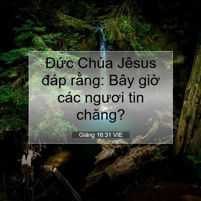 Picture 07 - Giăng 16:31 VIE - Đức Chúa Jêsus đáp rằng: Bây giờ các - Bible Verse Picture