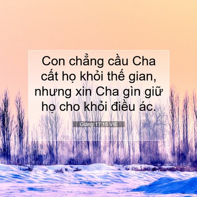 Picture 07 - Giăng 17:15 VIE - Con chẳng cầu Cha cất họ khỏi thế - Bible Verse Picture