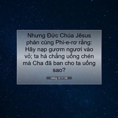 Picture 07 - Giăng 18:11 VIE - Nhưng Đức Chúa Jêsus phán cùng Phi-e-rơ - Bible Verse Picture