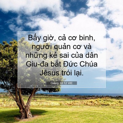 Picture 07 - Giăng 18:12 VIE - Bấy giờ, cả cơ binh, người quản cơ - Bible Verse Picture