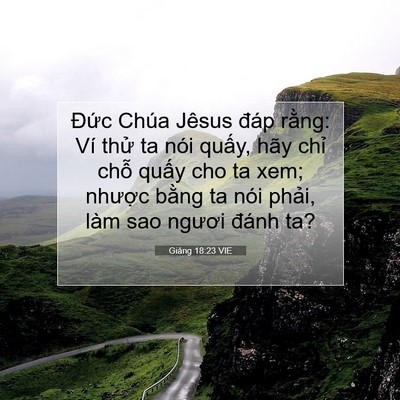 Picture 07 - Giăng 18:23 VIE - Đức Chúa Jêsus đáp rằng: Ví thử ta - Bible Verse Picture