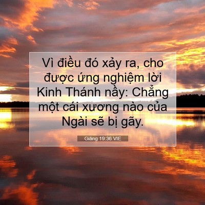 Picture 07 - Giăng 19:36 VIE - Vì điều đó xảy ra, cho được ứng - Bible Verse Picture