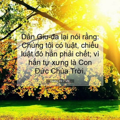 Picture 07 - Giăng 19:7 VIE - Dân Giu-đa lại nói rằng: Chúng tôi có - Bible Verse Picture