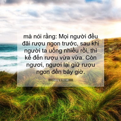 Picture 07 - Giăng 2:10 VIE - mà nói rằng: Mọi người đều đãi - Bible Verse Picture