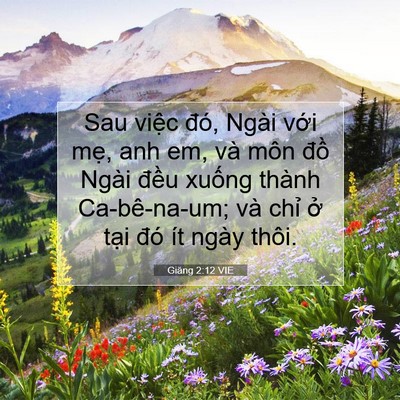 Picture 07 - Giăng 2:12 VIE - Sau việc đó, Ngài với mẹ, anh em, và - Bible Verse Picture
