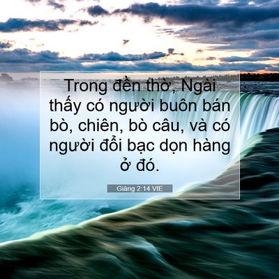 Picture 07 - Giăng 2:14 VIE - Trong đền thờ, Ngài thấy có người - Bible Verse Picture