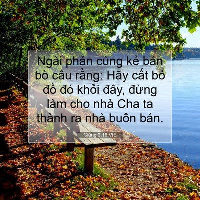 Picture 07 - Giăng 2:16 VIE - Ngài phán cùng kẻ bán bò câu rằng: Hãy - Bible Verse Picture