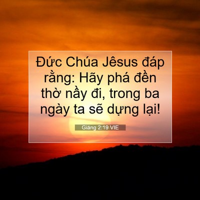 Picture 07 - Giăng 2:19 VIE - Đức Chúa Jêsus đáp rằng: Hãy phá - Bible Verse Picture