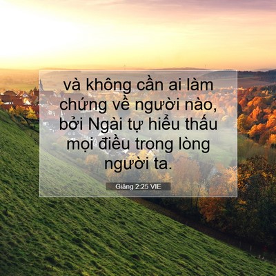 Picture 07 - Giăng 2:25 VIE - và không cần ai làm chứng về người - Bible Verse Picture