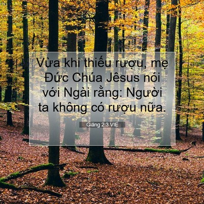 Picture 07 - Giăng 2:3 VIE - Vừa khi thiếu rượu, mẹ Đức Chúa - Bible Verse Picture