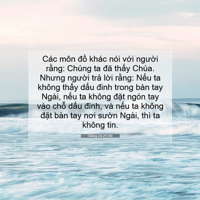 Picture 07 - Giăng 20:25 VIE - Các môn đồ khác nói với người rằng: - Bible Verse Picture