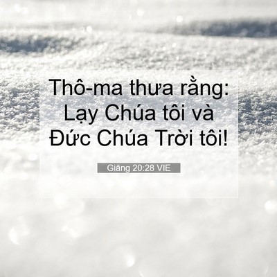 Picture 07 - Giăng 20:28 VIE - Thô-ma thưa rằng: Lạy Chúa tôi và Đức - Bible Verse Picture
