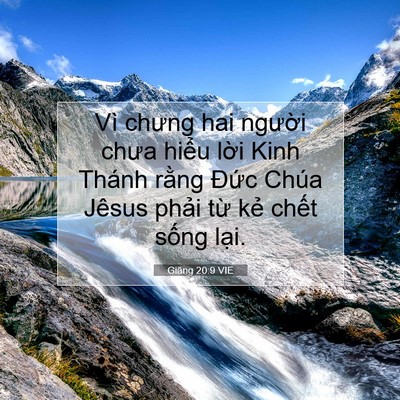 Picture 07 - Giăng 20:9 VIE - Vì chưng hai người chưa hiểu lời Kinh - Bible Verse Picture