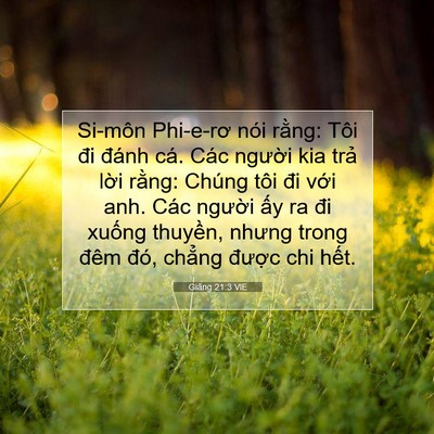 Picture 07 - Giăng 21:3 VIE - Si-môn Phi-e-rơ nói rằng: Tôi đi đánh - Bible Verse Picture