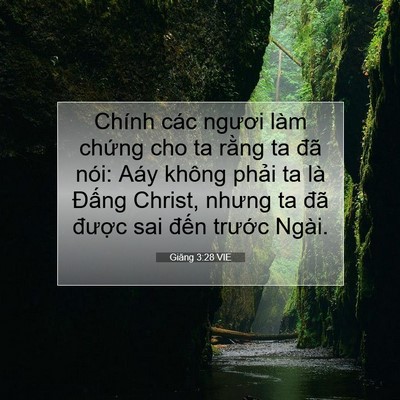 Picture 07 - Giăng 3:28 VIE - Chính các ngươi làm chứng cho ta rằng ta - Bible Verse Picture