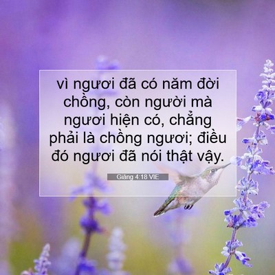 Picture 07 - Giăng 4:18 VIE - vì ngươi đã có năm đời chồng, còn - Bible Verse Picture