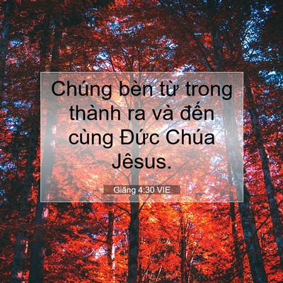 Picture 07 - Giăng 4:30 VIE - Chúng bèn từ trong thành ra và đến cùng - Bible Verse Picture