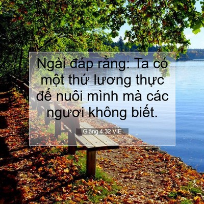 Picture 07 - Giăng 4:32 VIE - Ngài đáp rằng: Ta có một thứ lương - Bible Verse Picture