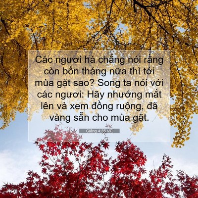 Picture 07 - Giăng 4:35 VIE - Các ngươi há chẳng nói rằng còn bốn - Bible Verse Picture
